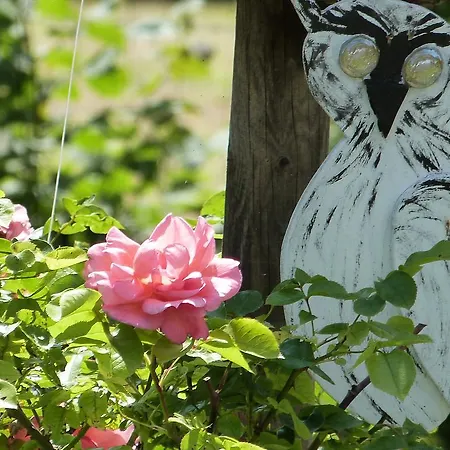 Le Jardin De Marie-jeanne 3* Achy