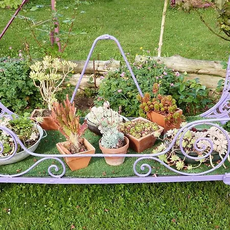 Bed & Breakfast Le Jardin De Marie-jeanne