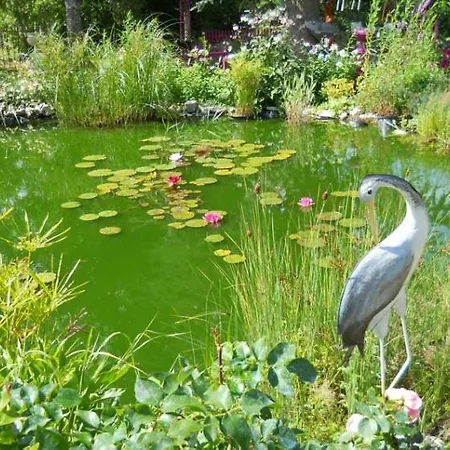 Le Jardin De Marie-jeanne Achy